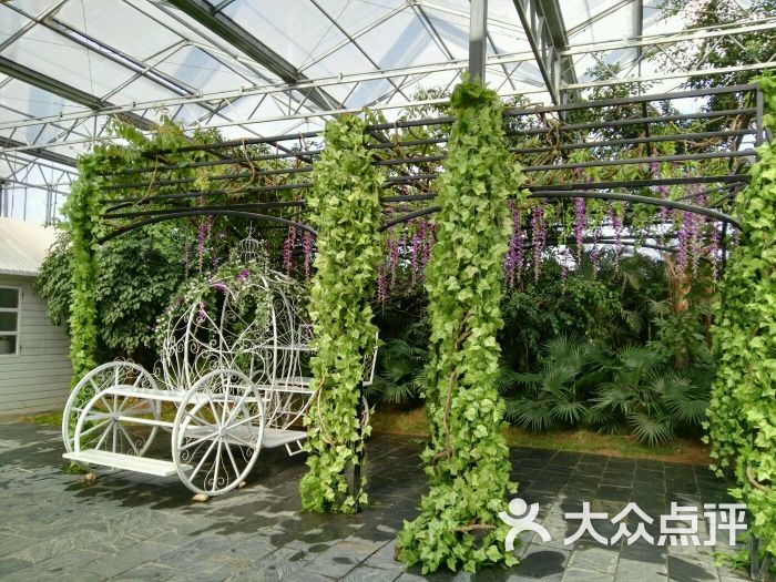 龙园休闲度假农庄景区-图片-临沂景点