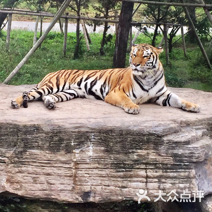 上海动物园图片 - 第8张