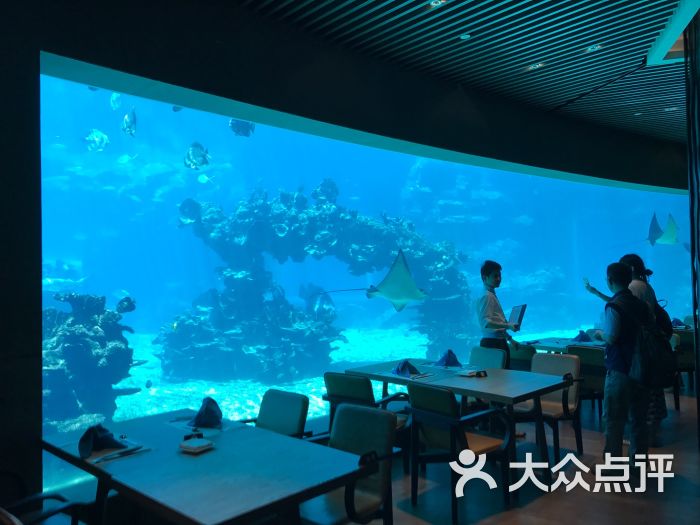 天房洲际度假酒店-海底餐厅(涛餐厅)