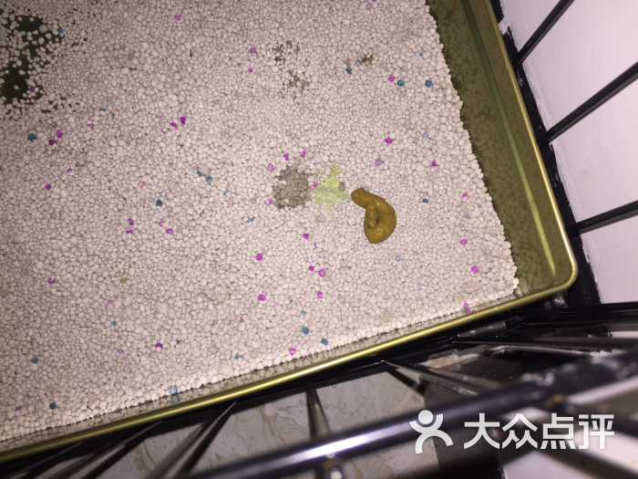 瑞鹏宠物医院(康王分院)的点评