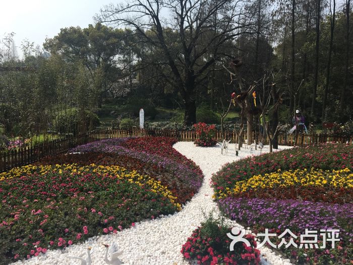 上海植物园的点评