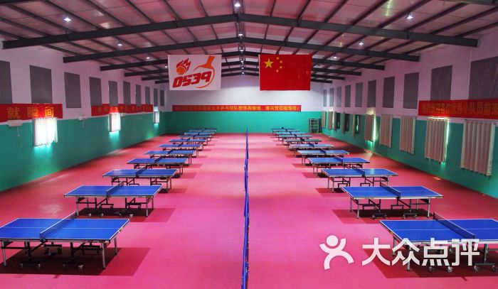 0539少儿乒乓球训练中心训练基地的球馆.jpg图片 - 第3张