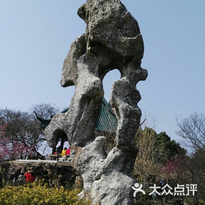 三星石