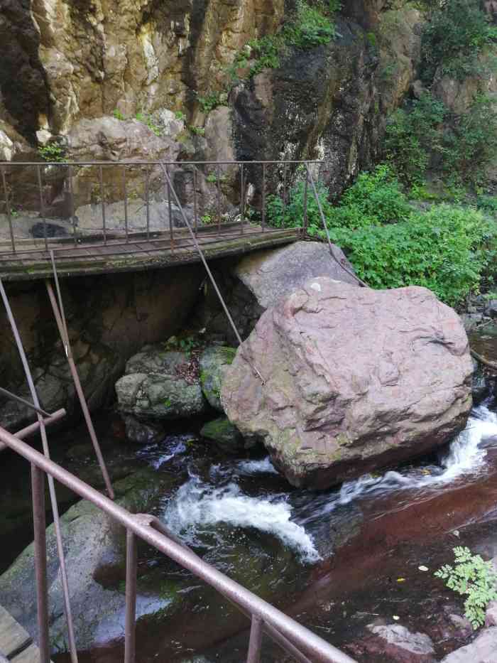 云岫谷游猎自然风景区-"云岫谷游猎森林自然风景区,市