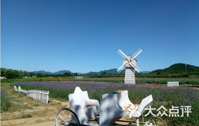 东方普罗旺斯薰衣草庄园-图片-北京周边游-大众点评网