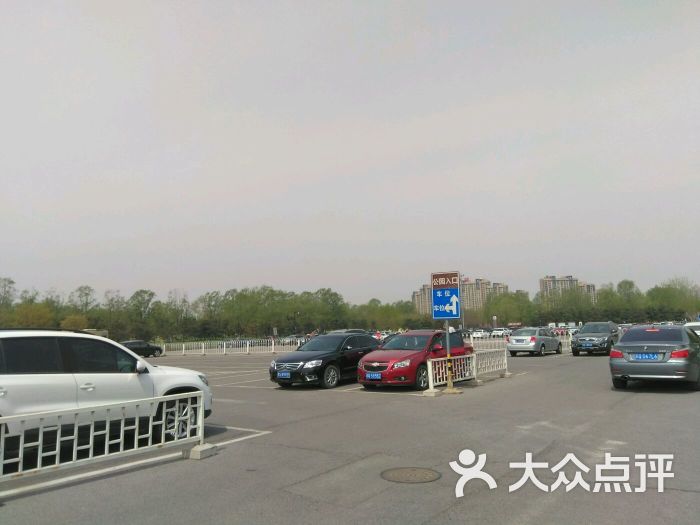 奥林匹克森林公园北园停车场-图片-北京爱车