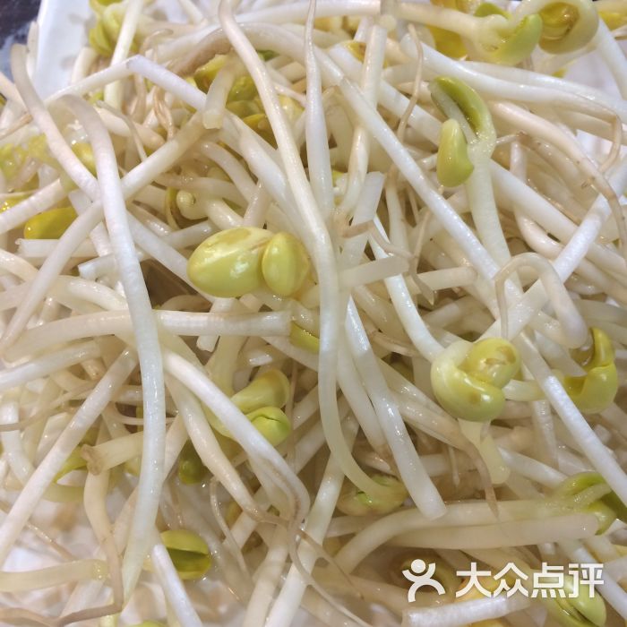 黄豆芽