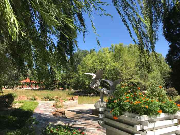 赤峰植物园"看起来非常非常高,但是他的每一层台阶都是.