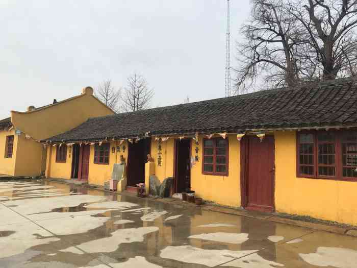 白沃净寺-"从去年年底疫情开始发现这座寺院之后就一直.