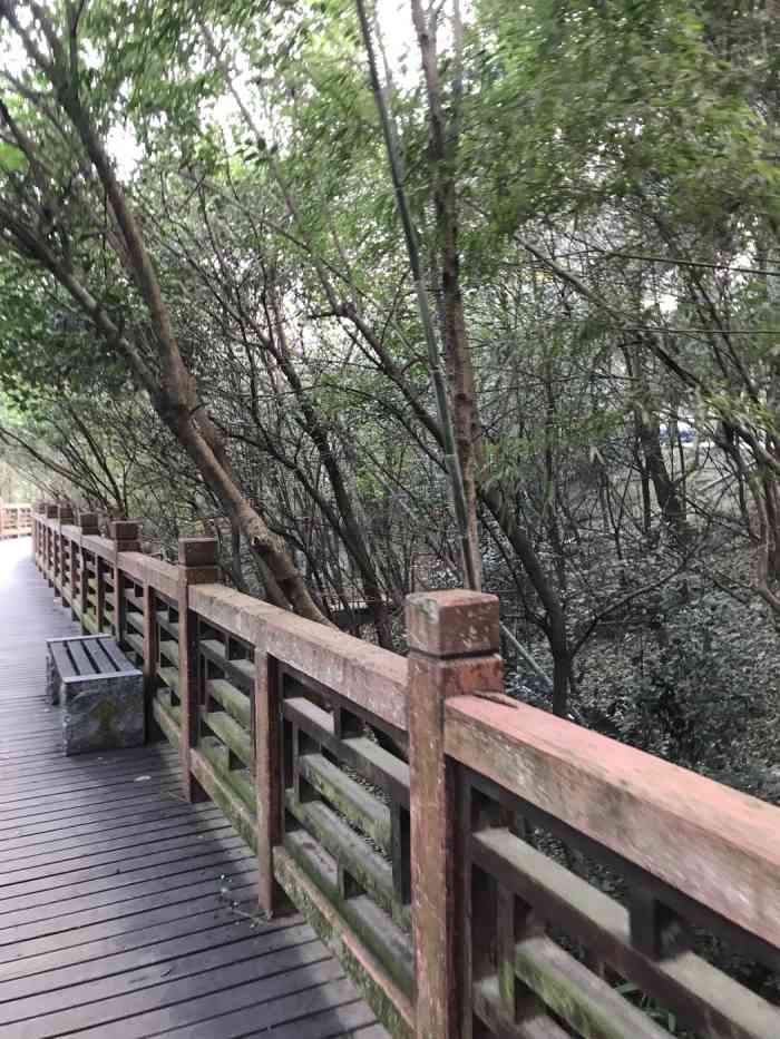 紫金山人行栈道-"紫金山是南京的地标,也是登山爱好者