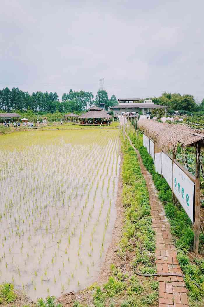 小草垛田野农场-"草稿存太久了,趁着还有记忆来写一波