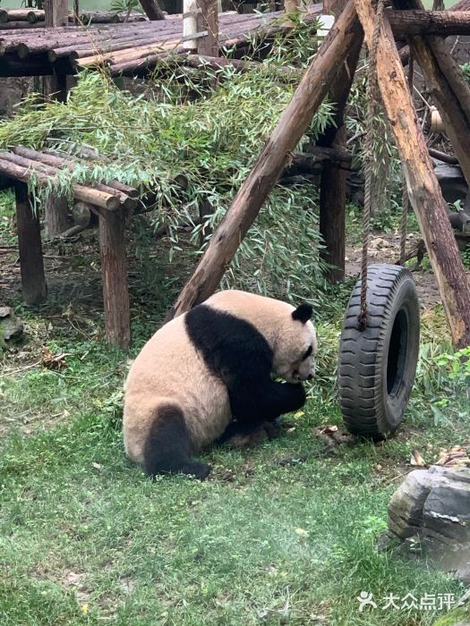 上海动物园图片