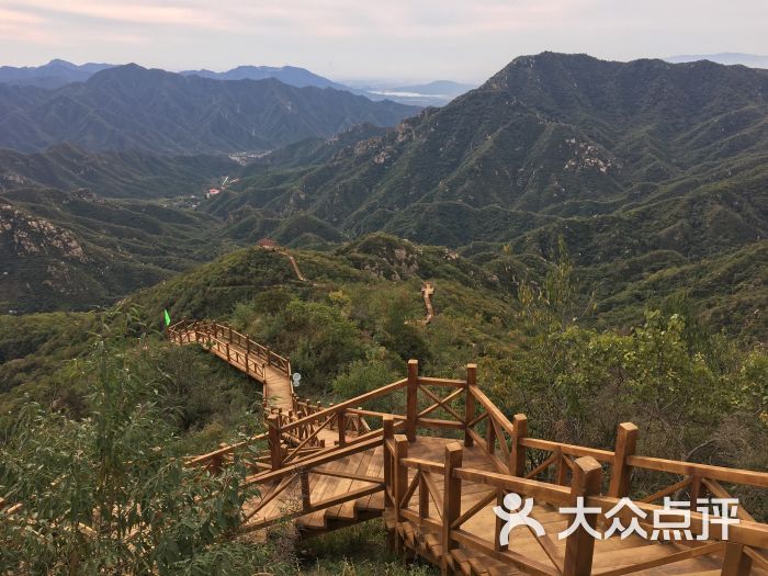 大岭沟猕猴桃谷风景区