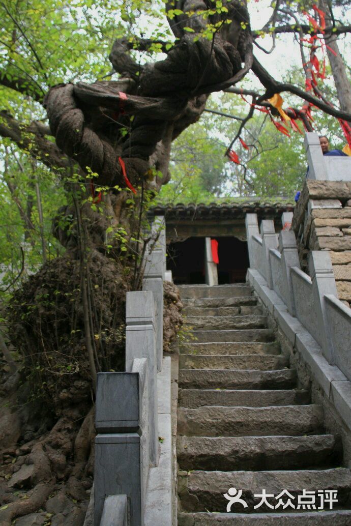 青山寺-图片-嘉祥县周边游-大众点评网