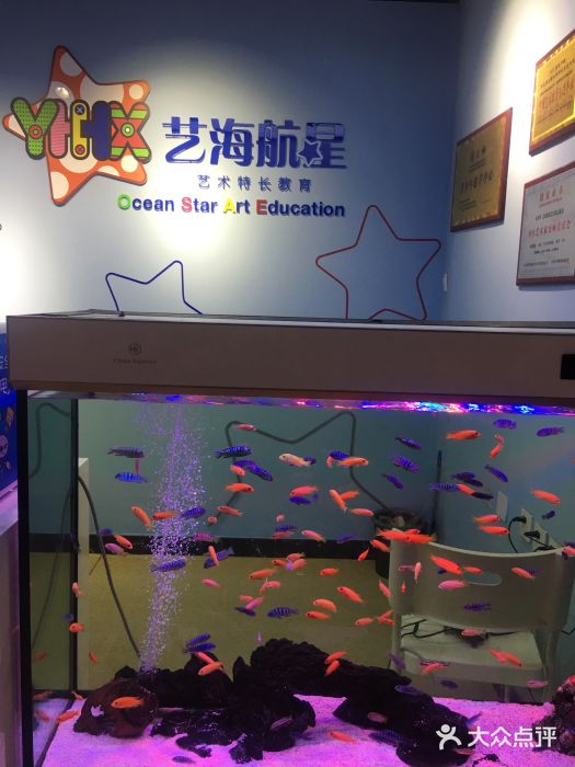 艺海航星(艺海航星花园桥店)图片