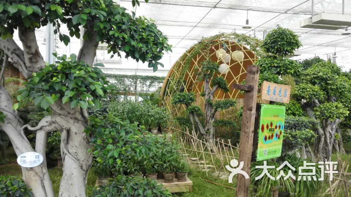 电谷城市低碳公园图片 第507张
