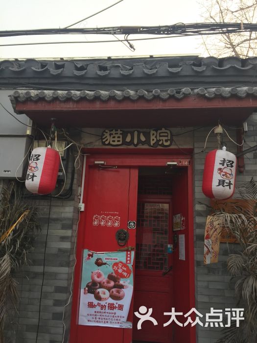 猫小院猫主题餐厅(北锣店)图片 第2张