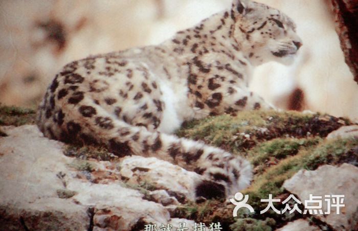 承德时代国际电影院-图片-承德电影-大众点评网