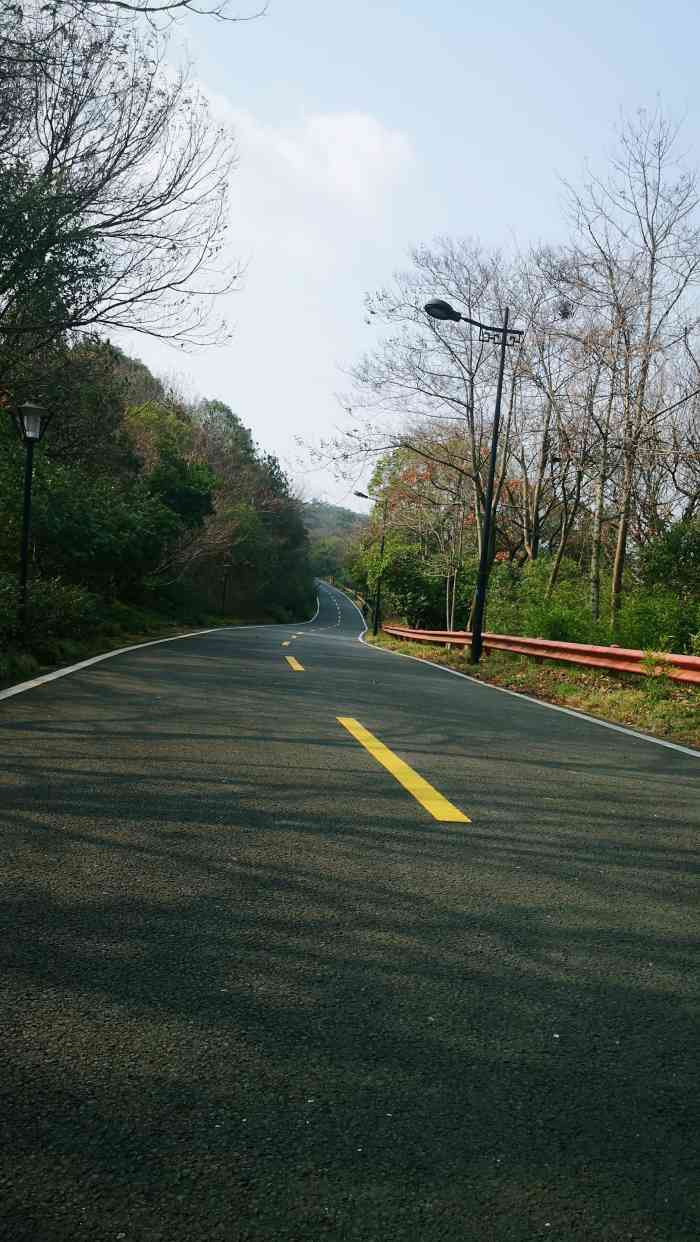宝界山林公园"宝界山林公园位于山水路起点,宝界桥到头右.