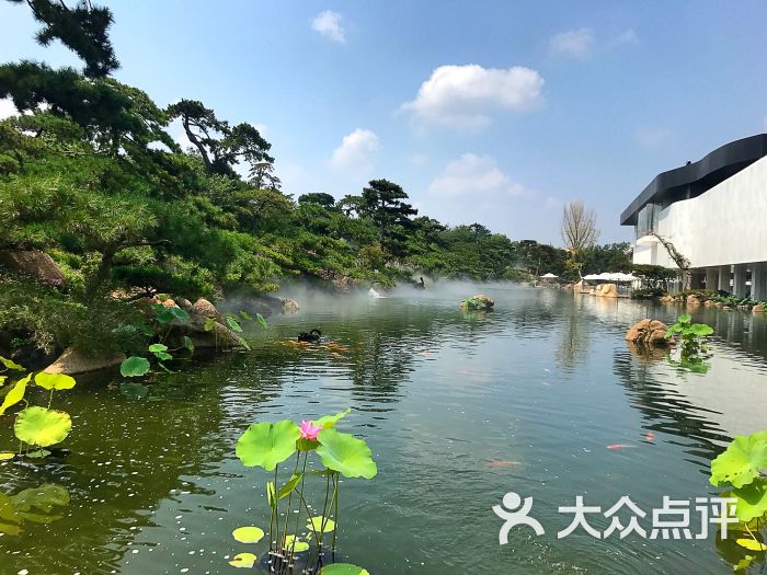 黑天鹅艺术蛋糕(杨林旗舰店)图片 - 第10张