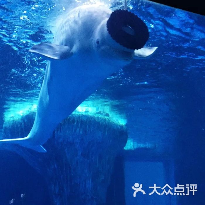 南昌海洋公园