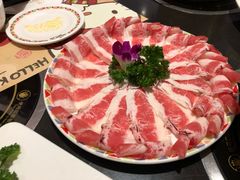 新西兰魔芋-hellokitty一锅鲜云南盐津肥牛加工厂图片