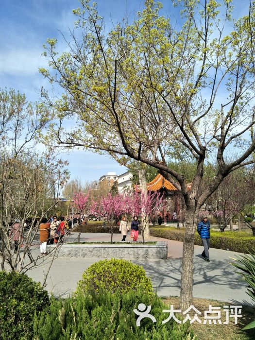中山门公园图片 - 第38张