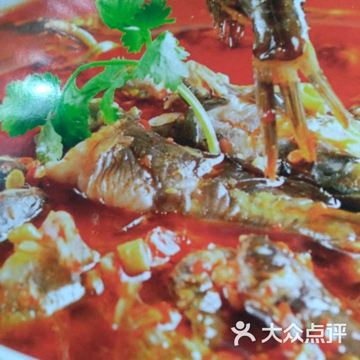 龙景苑岩江鱼图片-北京其他美食-大众点评网