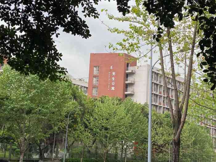 重庆鲁能巴蜀中学-停车场-"女儿迷上了tnt,一定要到峰