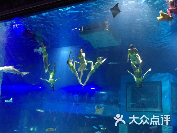 正佳极地海洋世界