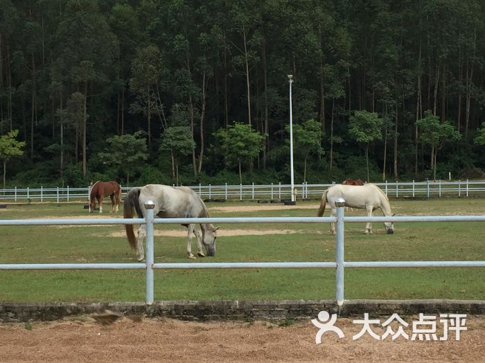 御盛森林马场-图片-广州周边游-大众点评网