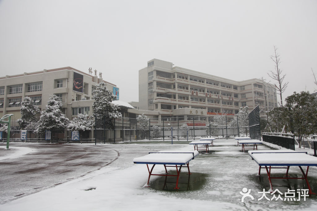 杭州市第十一中学图片 - 第3张