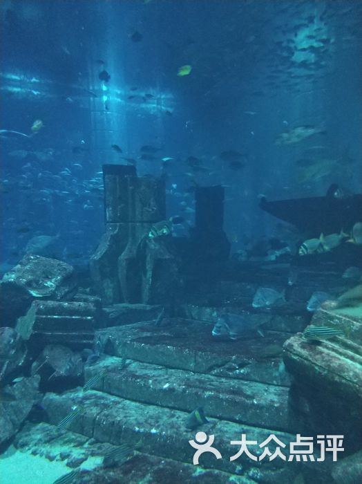 迪拜亚特兰蒂斯失落的空间水族馆