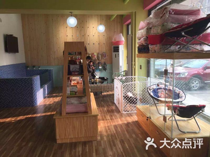 乔乔的宠物店图片 - 第1张