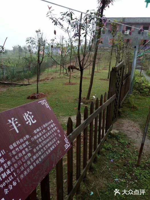 七彩大庄园-图片-重庆景点/周边游-大众点评网