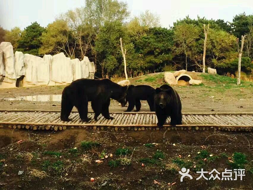 沈阳森林动物园图片 第1833张
