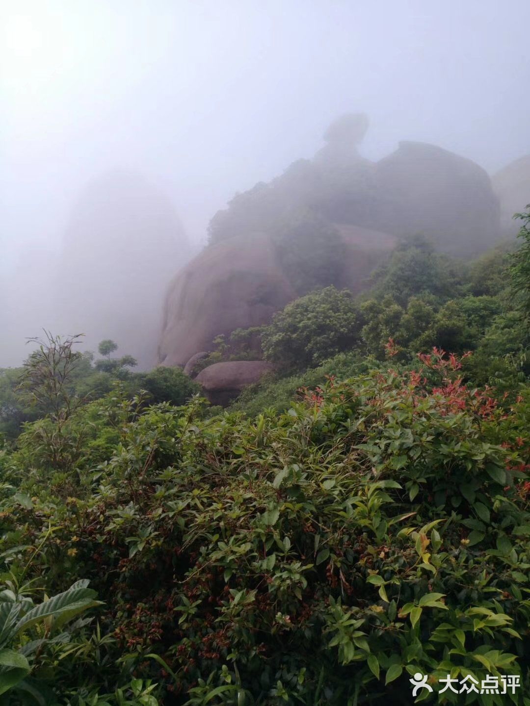 本来看错了以为叫大姥山,再一看多个点了