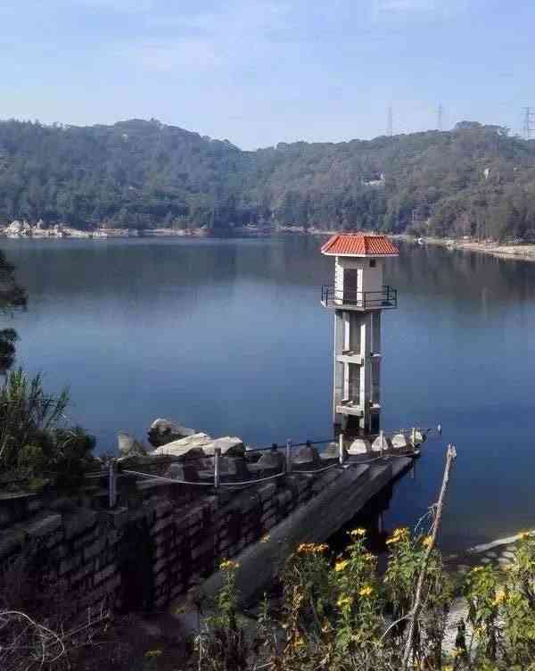 东坪山水库"蛮多人来这钓鱼,最近厦门雨水少,水库也浅.