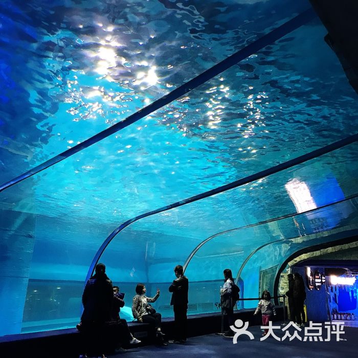 正佳极地海洋世界图片 - 第2张