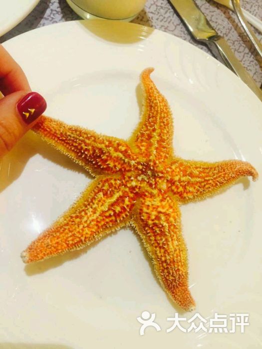 永和铂爵国际酒店威斯蒂娜西餐厅-图片-郑州美