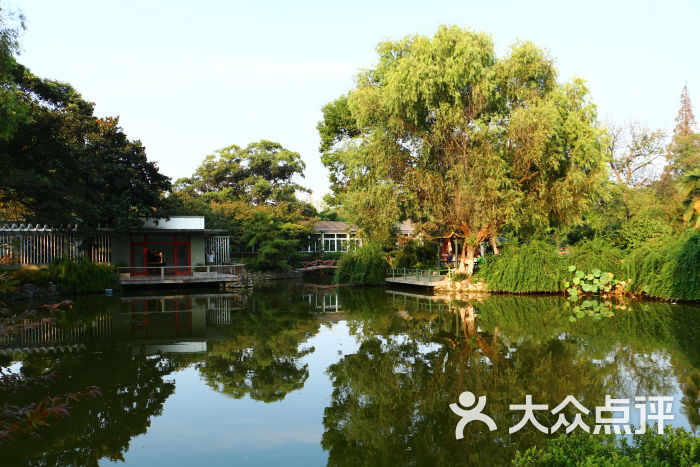 沙市市中山公园图片 - 第119张