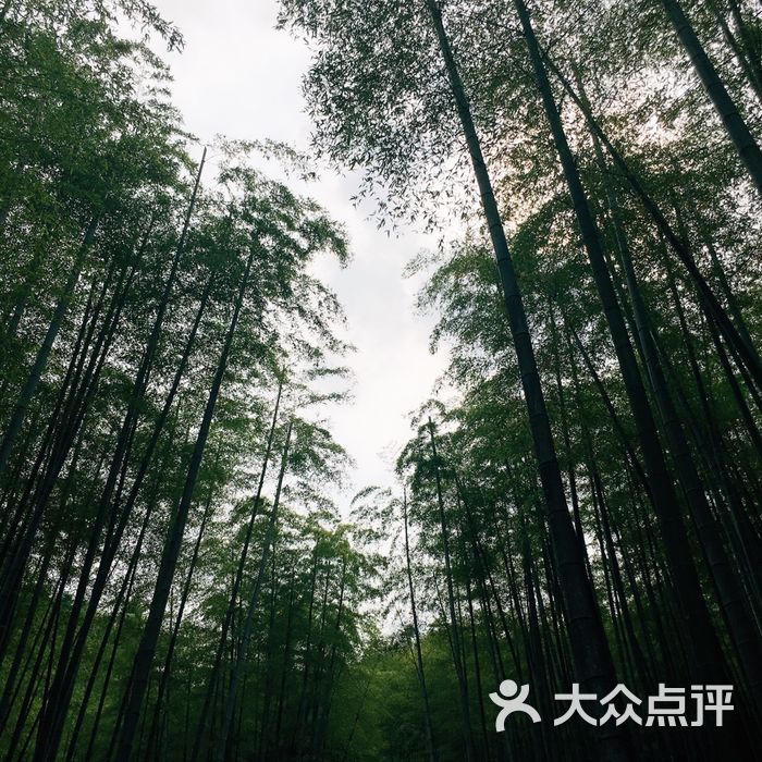 中国大竹海景区