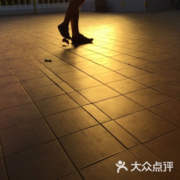 斑马旅游-图片-上海生活服务