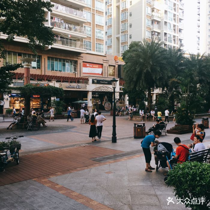 西丽366大街-图片-深圳周边游-大众点评网