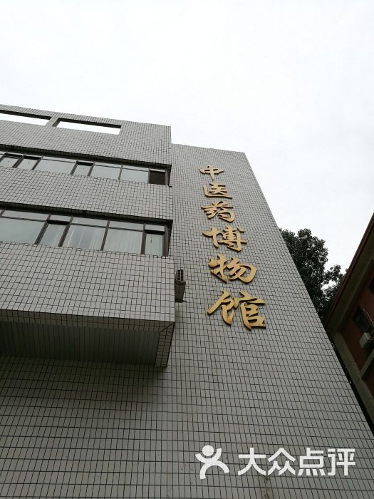 北京中医药大学中医药博物馆图片 第28张