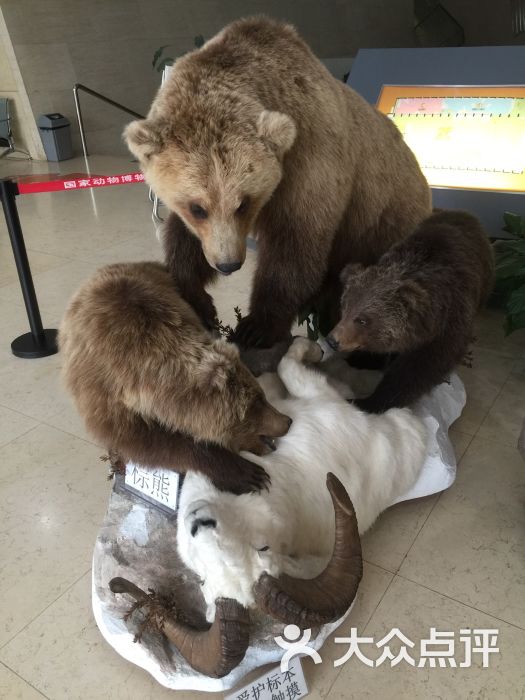 国家动物博物馆-图片-北京周边游