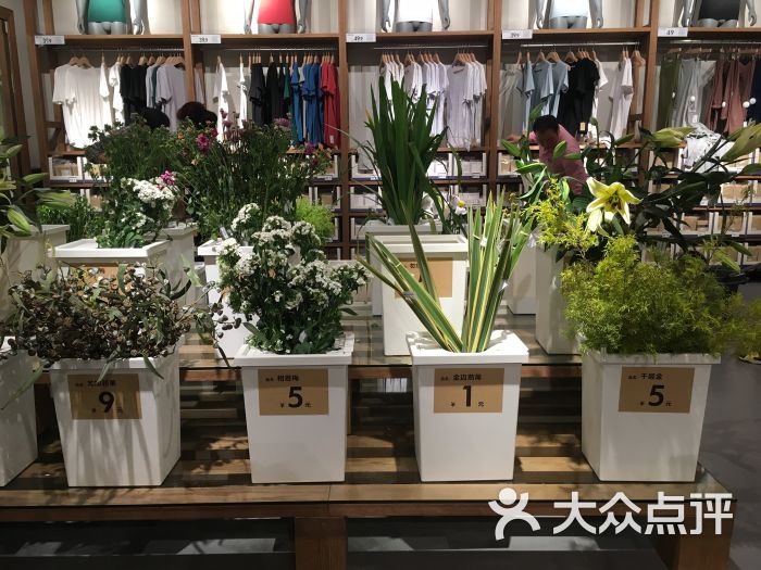 鹿岛普通生活凯德(西城店)图片 第27张