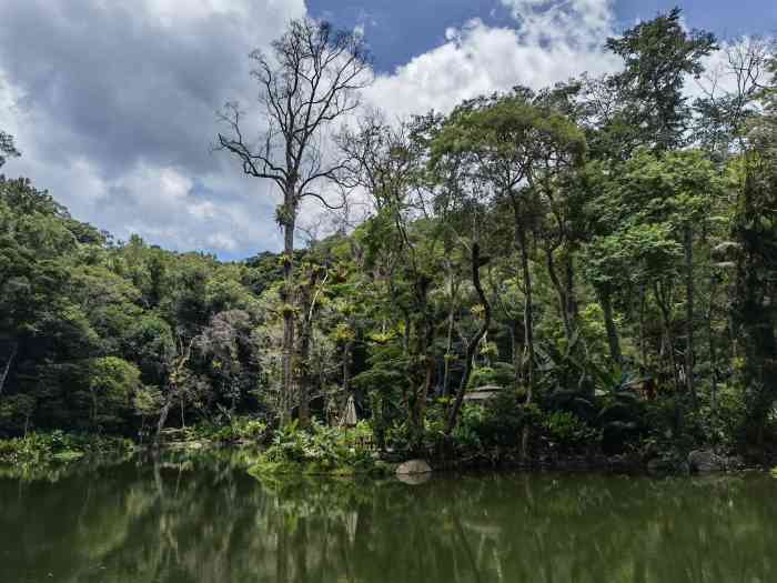 海南百花岭热带雨林文化旅游区