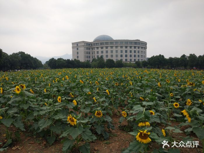 浙江工业大学(屏峰校区-图片-杭州学习培训-大众点评网