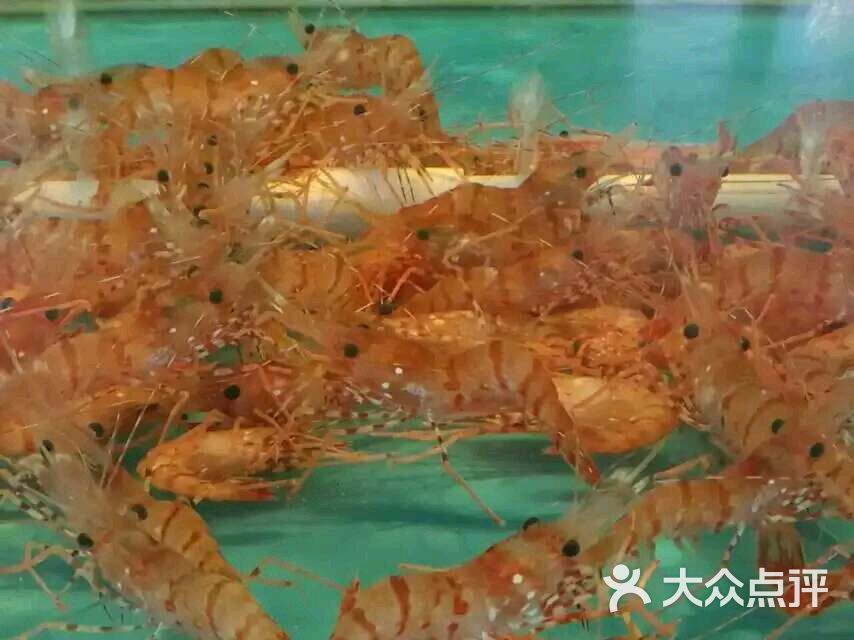 清香阁海鲜(健德门桥店)-图片